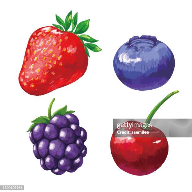 bildbanksillustrationer, clip art samt tecknat material och ikoner med uppsättning av målning bär - blackberry