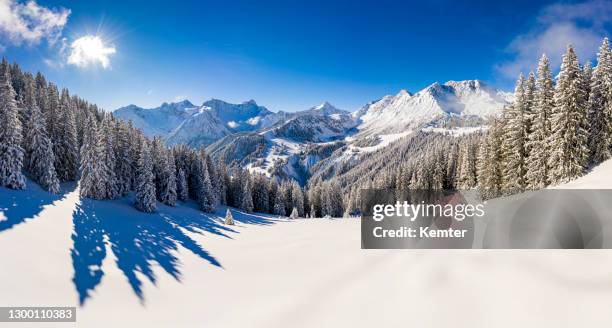aerial view of a ski resort with snowcapped trees - coberto de neve imagens e fotografias de stock