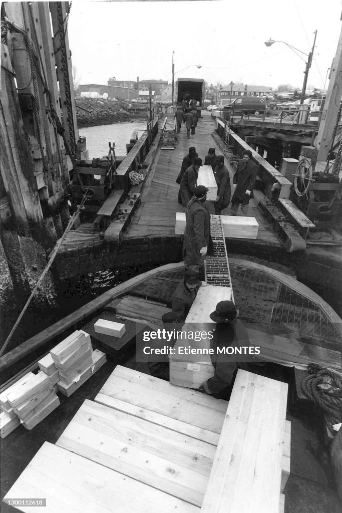 Fosses communes sur l'ile de Harts Island en 1983