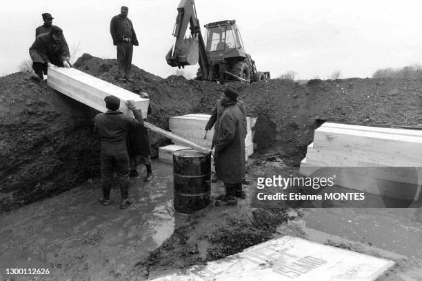 Des prisonniers volontaires procédent aux enterrements des cercueils dans des fosses communes de défunts indigents et de corps non réclamés sur l'ile...
