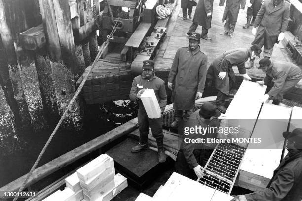 Des prisonniers volontaires procédent au transfert des cercueils dans des fosses communes de défunts indigents et de corps non réclamés sur l'ile de...