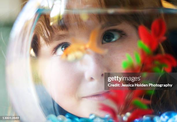 girl looking cross-eyed at fish in fishbowl - cross eyed 個照片及圖片檔