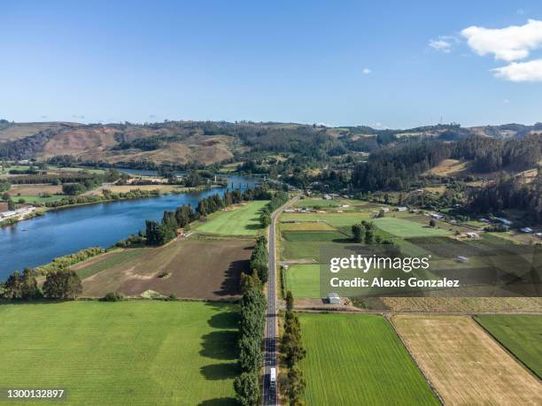road to carahue in la araucania region - house highways stock pictures, royalty-free photos & images