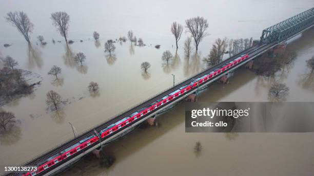 flooded area, rhine and main river, germany - germany train stock pictures, royalty-free photos & images