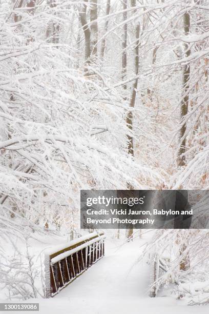 beautiful snow covered branches and little bridge in pennsylvania - pennsylvania landscape stock pictures, royalty-free photos & images