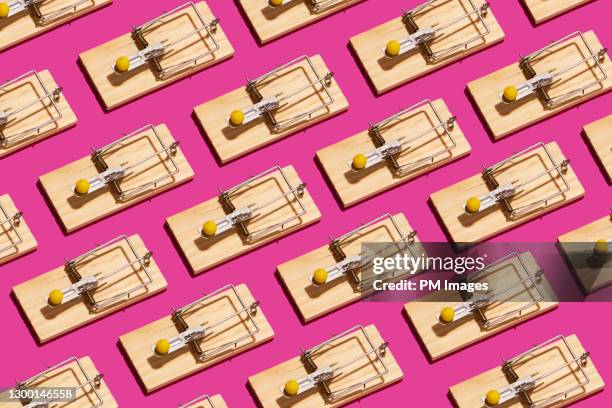 lines of mouse traps - mousetrap stock pictures, royalty-free photos & images