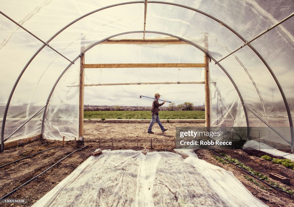 Man Walking On An Organic Farm