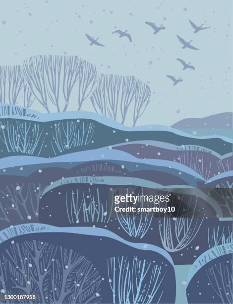 winter countryside scene with geese - linocut stock illustrations