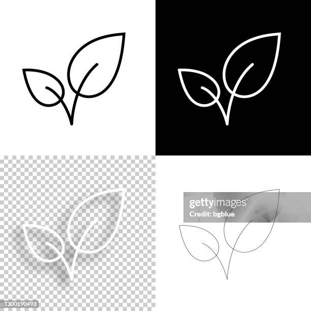blätter. symbol für design. leere, weiße und schwarze hintergründe - liniensymbol - seedling stock-grafiken, -clipart, -cartoons und -symbole