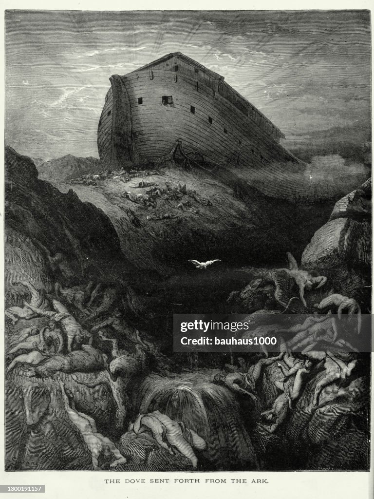Antique Engraving: Dove Sent Forth from the Ark