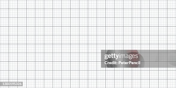 Grid Graph Paper Sheet White Background Texture Template Vector ...