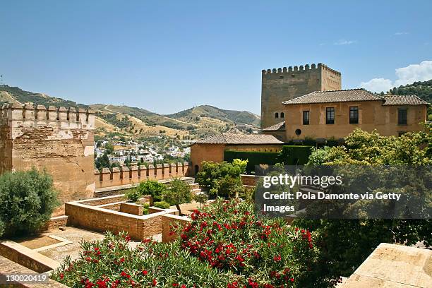 la alhambra in granada, spain - alhambra granada stock pictures, royalty-free photos & images