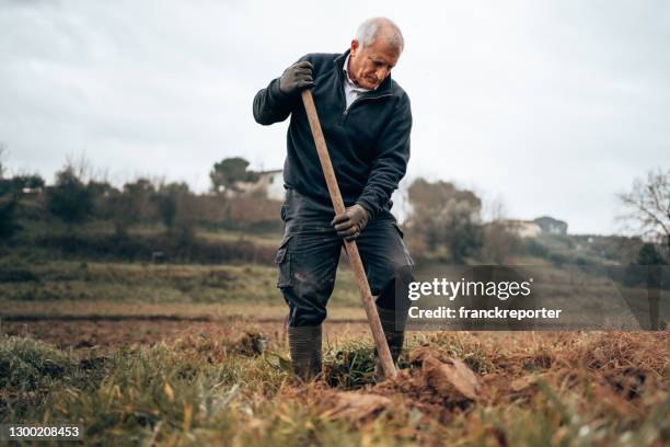 agricoltore scavando il terreno - scavare foto e immagini stock