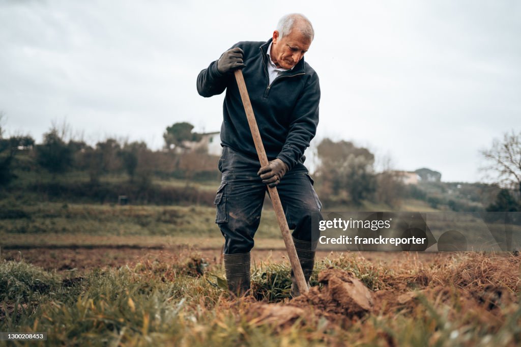 Farmer digging the ground