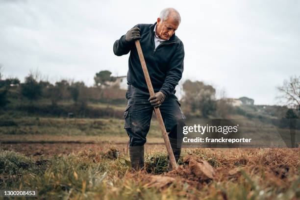 農民挖地 - digging 個照片及圖片檔