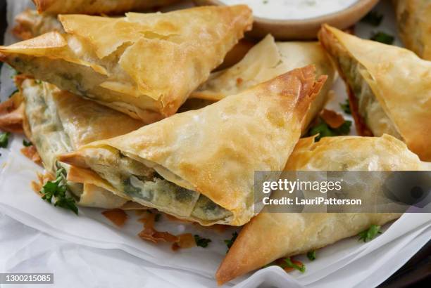 spanakopita con salsa tzatziki - crujiente fotografías e imágenes de stock