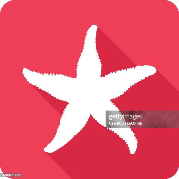 starfish icon silhouette - water pool stock illustrations