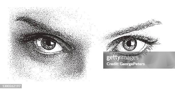 ilustrações de stock, clip art, desenhos animados e ícones de close-up of beautiful eyes - head forward white background
