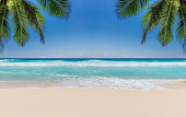 Tropical beach, palm trees, sea wave and white sand
