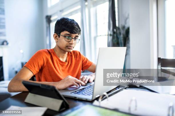 brother and sister e-learning at home - boy indian stockfoto's en -beelden