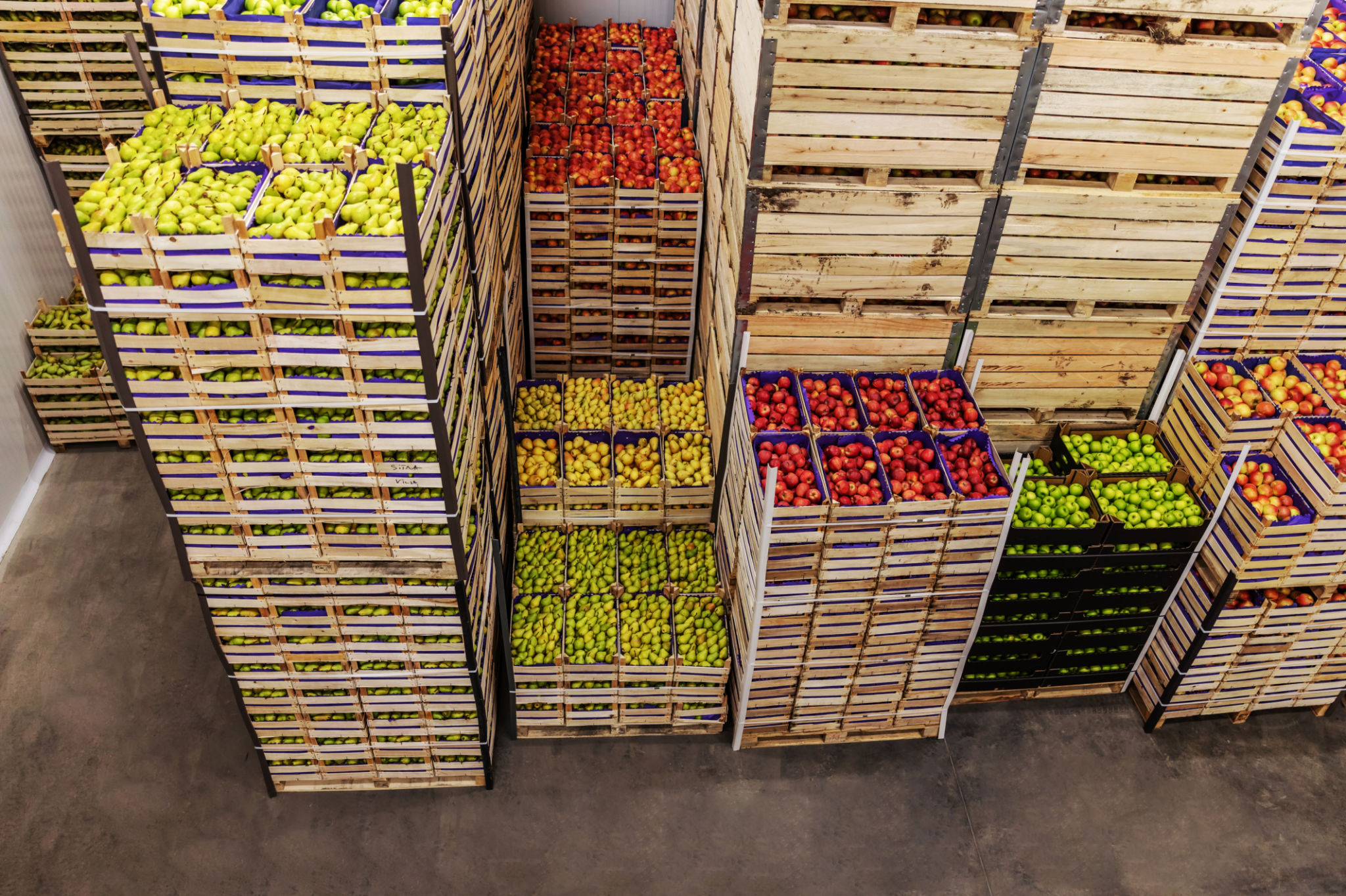 Apples and pears in crates ready for shipping. Cold storage interior. Apples and pears in crates ready for shipping. Cold storage interior.