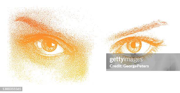 close-up of beautiful eyes - head forward white background stock illustrations