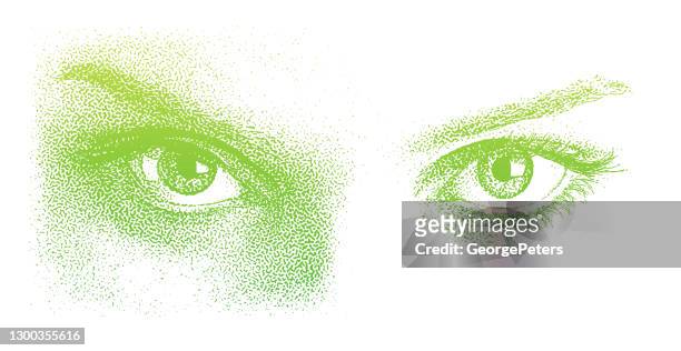 close-up of beautiful eyes - head forward white background stock illustrations
