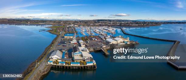 aerial view of blaine public pier and marina, blaine, washington. - whatcom county bildbanksfoton och bilder