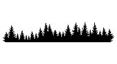 Fir trees silhouettes. Coniferous spruce horizontal background pattern, black evergreen woods vector illustration. Beautiful hand drawn panorama of a coniferous forest