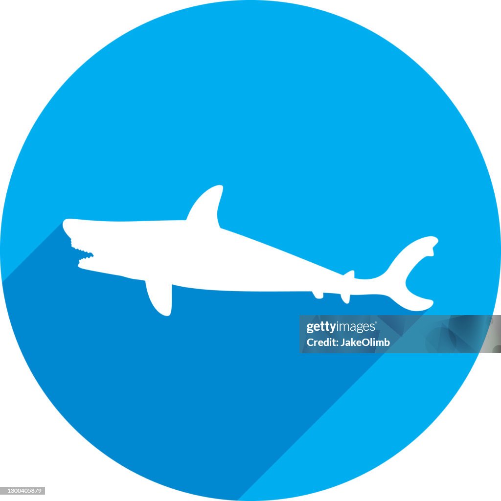 Shark Icon Silhouette 1