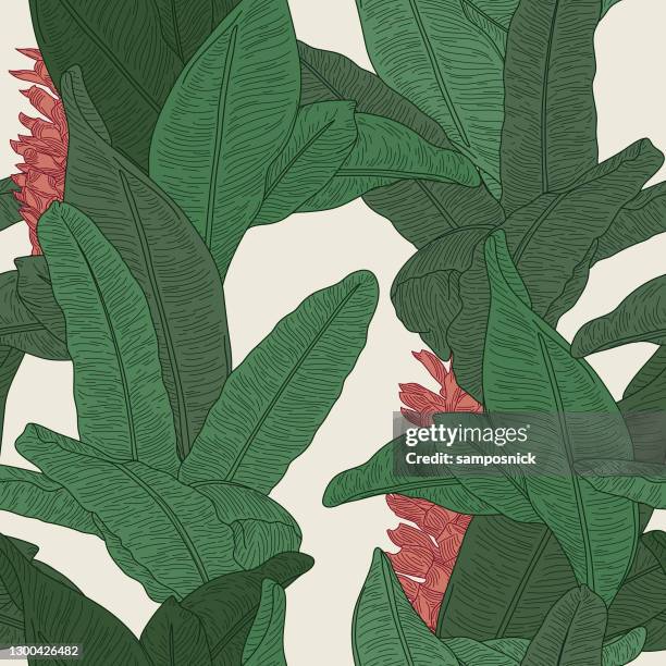 stockillustraties, clipart, cartoons en iconen met martinique geïnspireerd naadloze banana leaf patroon wallpaper - ginger flower