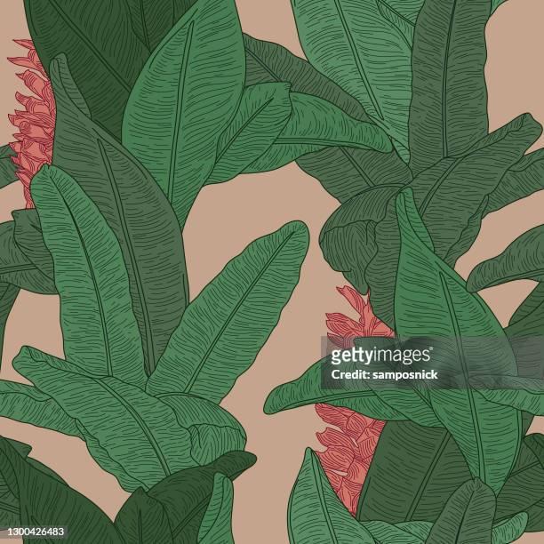 martinique inspired seamless banana leaf pattern wallpaper - beverly hills stock illustrations