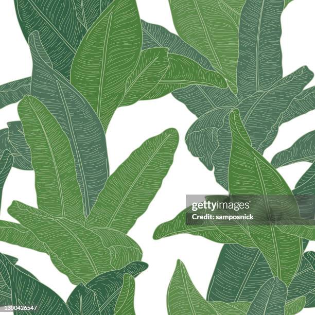 138 Banana Leaf Wallpaper High Res Vector Graphics - Getty Images 138 Banana Leaf Wallpaper High Res Vector Graphics - Getty Images