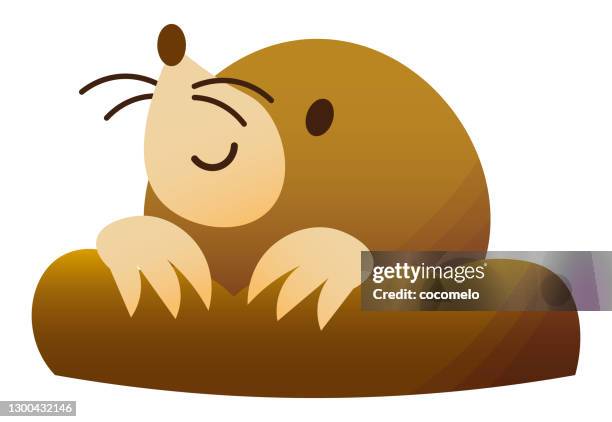 mole. - mole white background stock illustrations