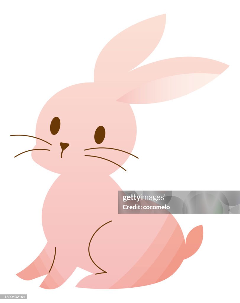 Graphic Rabbit Image Rabbit High-Res Vector Graphic - Getty Images