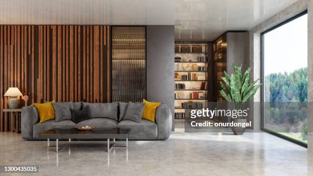 luxurious living room interior with sofa and bookshelf. garden view from the window. - book shelf stock pictures, royalty-free photos & images
