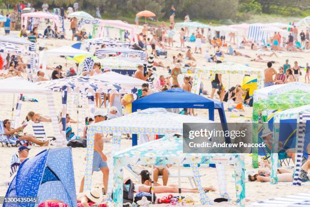 many people are at noosa main beach on a sunny day during school holidays on january 12th 2001, queensland, australia - queensland beaches stock pictures, royalty-free photos & images