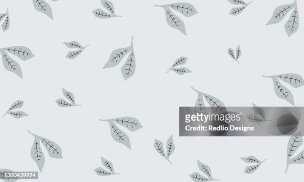 beautiful small leaves on white background - chlorophyll stock illustrations