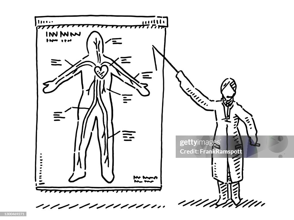 Scientist Explaining Human Blood Circuit Drawing High-Res Vector ...