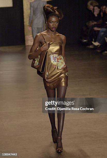 Zang Toi 2003 Fall Fashion during Mercedes-Benz Fashion Week Fall 2003 Collections - Zang Toi - Runway at Bryant Park in New York City, New York,...