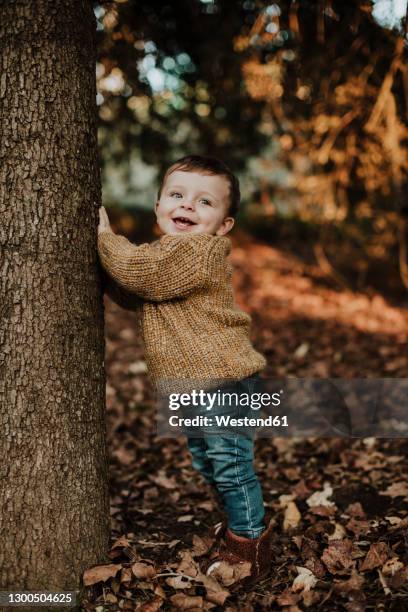 cute toddler leaning on tree trunk in forest during sunset - baby nature fotografías e imágenes de stock