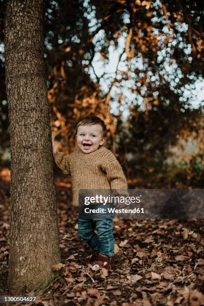 cheerful toddler standing by tree trunk in forest during sunset - baby nature fotografías e imágenes de stock