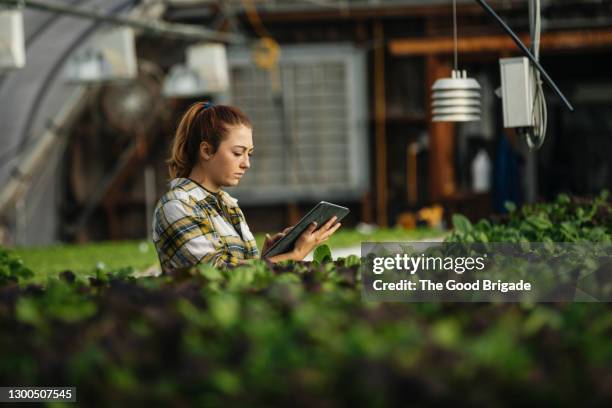 female farm worker using digital tablet in greenhouse - economía verde fotografías e imágenes de stock