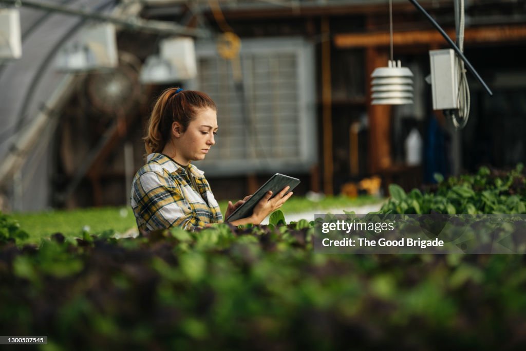 Female farm worker using digital tablet in greenhouse