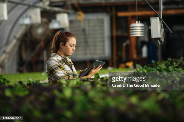 female farm worker using digital tablet in greenhouse - sustainable lifestyle stock pictures, royalty-free photos & images
