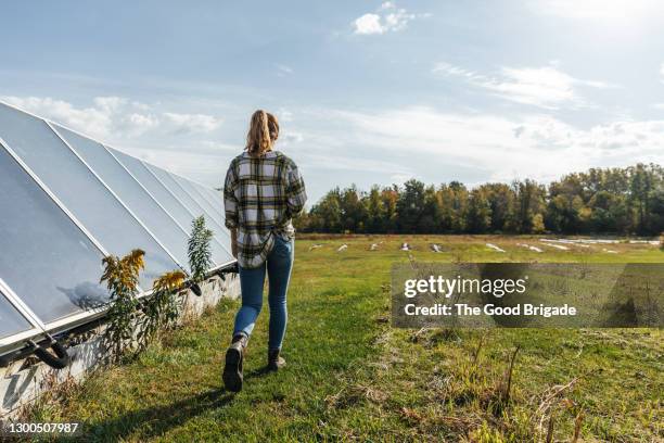 young woman walking next to solar panels on farm - farmer walking stock pictures, royalty-free photos & images