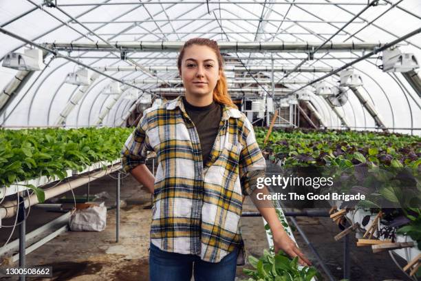 portrait of young woman standing in greenhouse on farm - plaid shirt stock-fotos und bilder