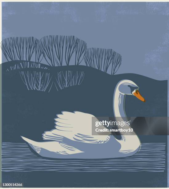 countryside scene with swan - swan stock illustrations