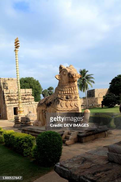 bull statue at shiva temple in gangaikonda cholapuram,tamil nadu,india - great living chola temples bildbanksfoton och bilder