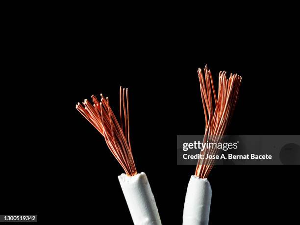 two stripped electric wires with their copper filaments on black background. - copper detail stock pictures, royalty-free photos & images